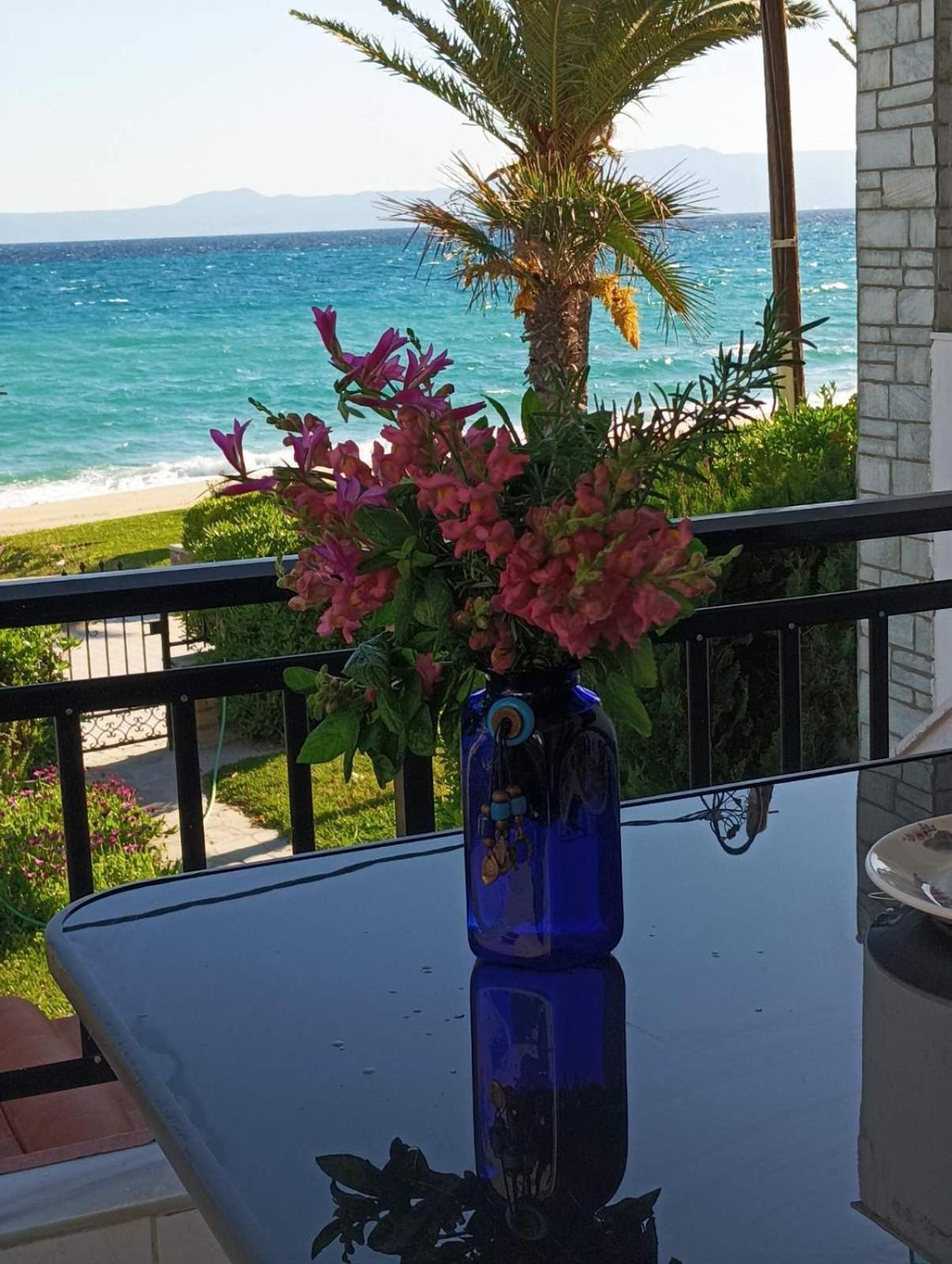 Cozy Maisonette In Pefkochori Chalkidiki Ngoại thất bức ảnh